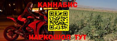 индика Ликино-Дулёво
