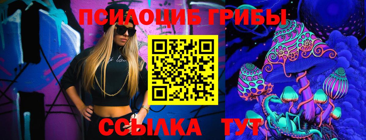 Галлюциногенные грибы Psilocybine cubensis Хабаровск