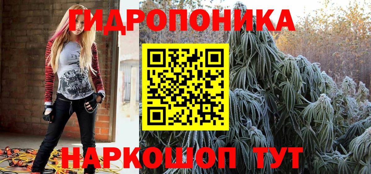 Бошки Шишки Ganja  Вход с VPN  Каннабис OG Kush  Хабаровск  Каннабис план 